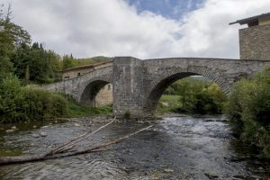 The rabies bridge at Zubiri