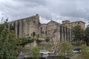 San Pedro 12 century cloister