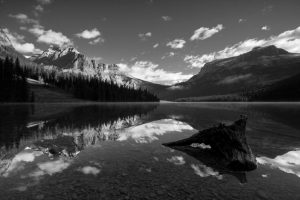 Emerald Lake In Yoho