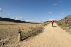 A pilgrim following the way
