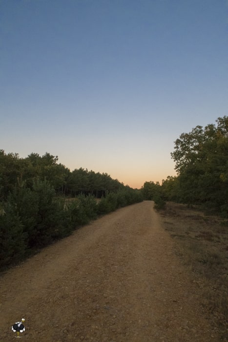 Sunrise on the Way