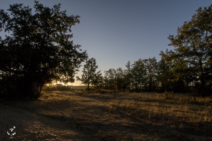 Sunrise on the Camino
