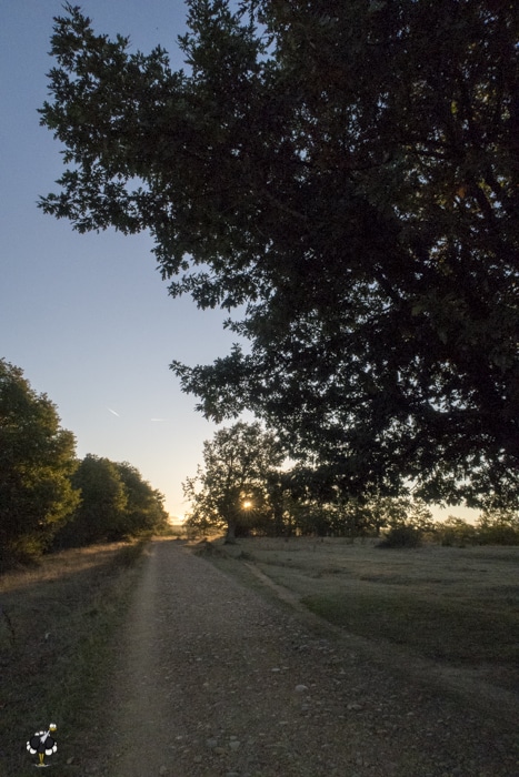 Sunrise on the camino