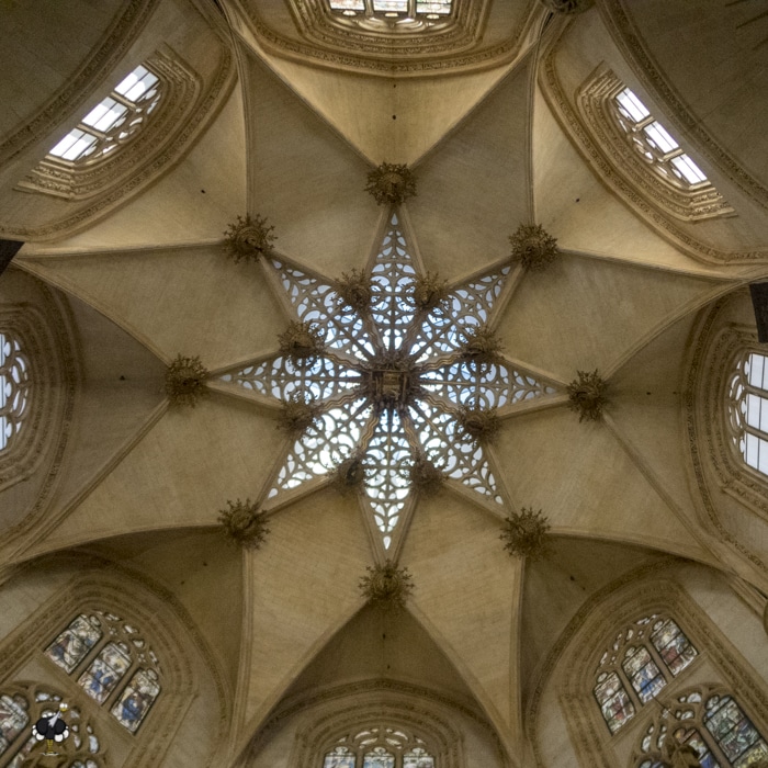 The ceiling of the catedral