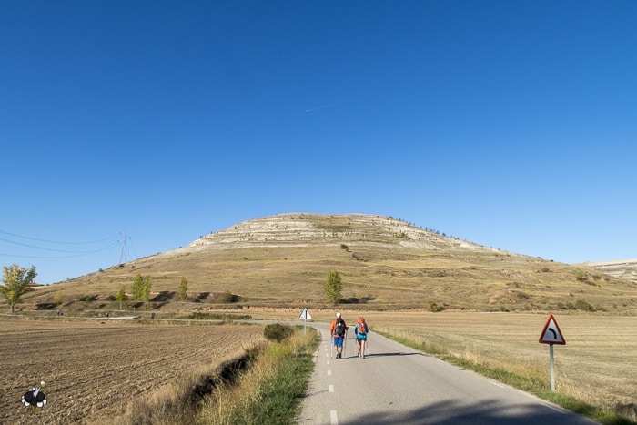 Two pilgrims walking on the Camino