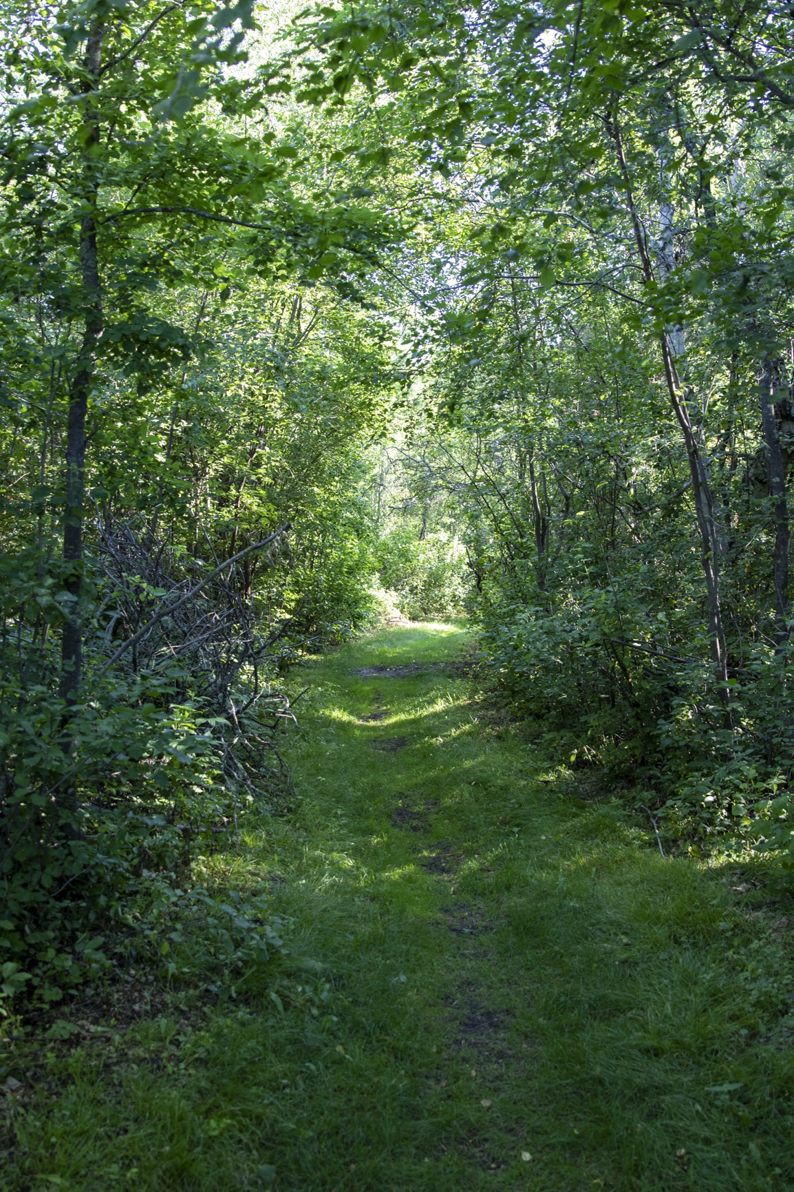 Sir Winston Churchill Provincial Park Near the trailhead for the longpoint trail